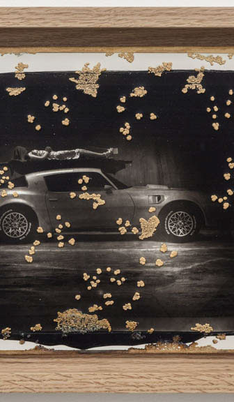 Large image of Woodburytype print in wood frame with gold electroplating for artist Matthew Barney.