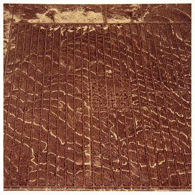 David Maisel portfolio, "Proving Ground," albumen print, 9 of 9, 2017.