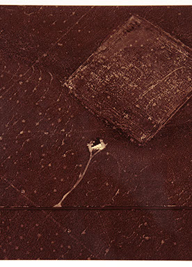 David Maisel portfolio, "Proving Ground," albumen print, 2 of 9, 2017.