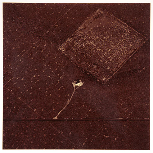 David Maisel portfolio, "Proving Ground," albumen print, 2 of 9, 2017.