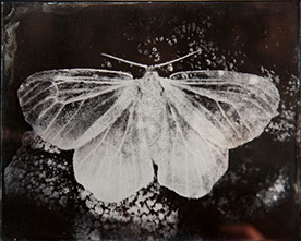 Michelle Stuart, "Night Over Alice Springs (detail)," 9 ambrotypes, panel A2, 8x10 inches each. Published by The ƒ/Ø Project, 2018.