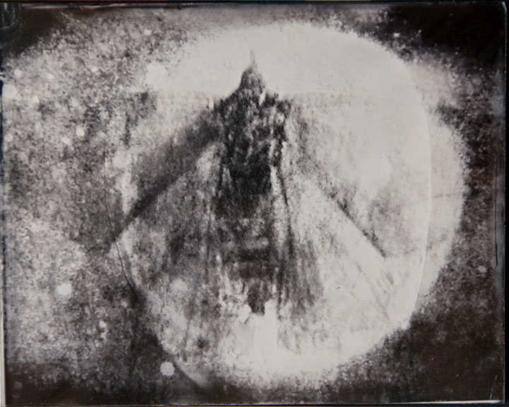 Michelle Stuart, "Night Over Alice Springs (detail)," 9 ambrotypes, panel B1, 8x10 inches each. Published by The ƒ/Ø Project, 2018.