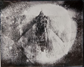 Michelle Stuart, "Night Over Alice Springs (detail)," 9 ambrotypes, panel B1, 8x10 inches each. Published by The ƒ/Ø Project, 2018.