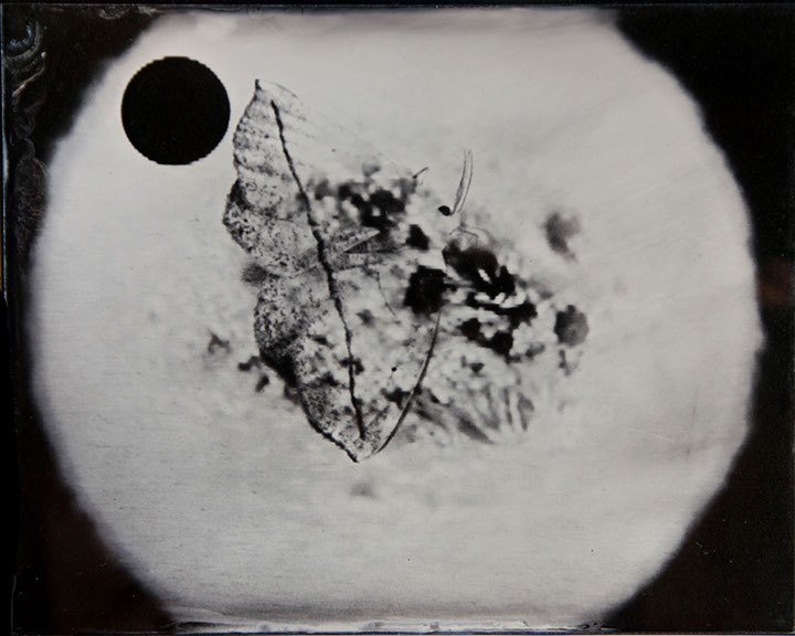 Michelle Stuart, "Night Over Alice Springs (detail)," 9 ambrotypes, panel B3, 8x10 inches each. Published by The ƒ/Ø Project, 2018.