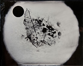 Michelle Stuart, "Night Over Alice Springs (detail)," 9 ambrotypes, panel B3, 8x10 inches each. Published by The ƒ/Ø Project, 2018.