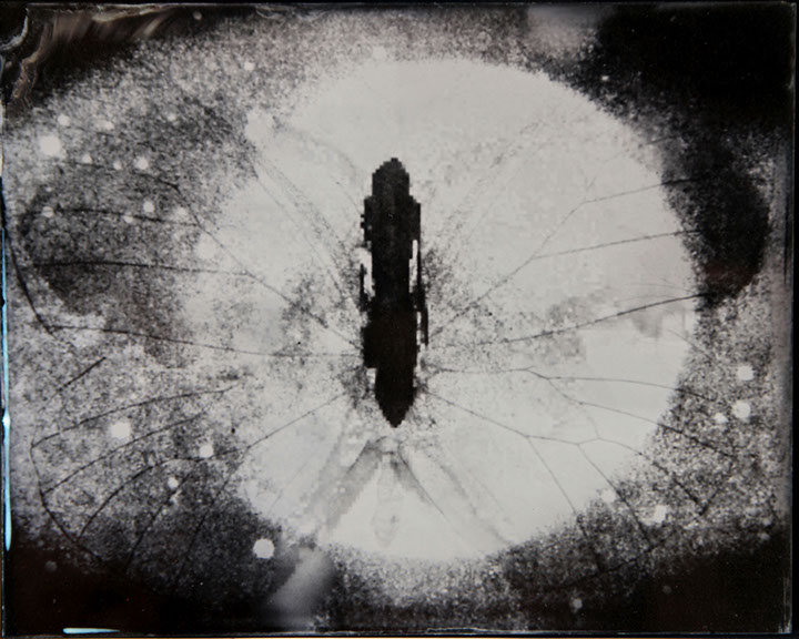 Michelle Stuart, "Night Over Alice Springs (detail)," 9 ambrotypes, panel C3, 8x10 inches each. Published by The ƒ/Ø Project, 2018.