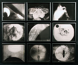 Michele Stuart, Night Over Alice Springs, 9 ambrotypes, each 8x10 inches, total dimensions approximately 26x34 inches, 2018.