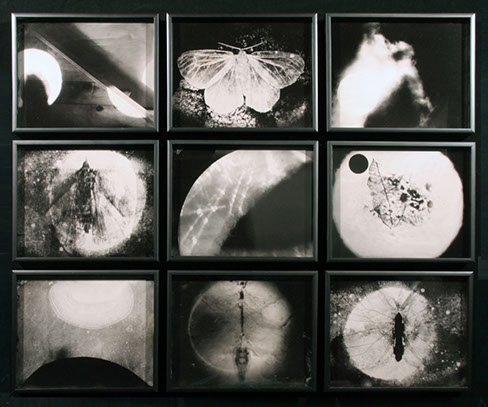 Michele Stuart, Night Over Alice Springs, 9 ambrotypes, each 8x10 inches, total dimensions approximately 26x34 inches, 2018.