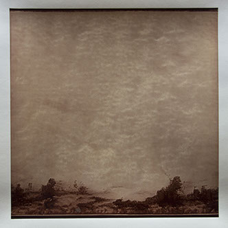 Matthew Ritchie, "Generation II" unique albumen print, 16x16 inches on 20x24 inch sheet. Published by The ƒ/Ø Project, 2022.