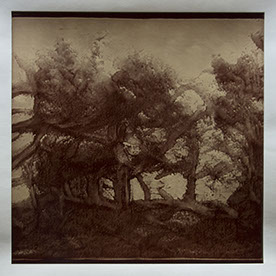 Matthew Ritchie, "Generation VI" unique albumen print, 16x16 inches on 20x24 inch sheet. Published by The ƒ/Ø Project, 2022.