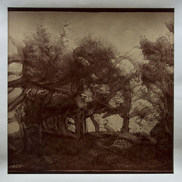 Matthew Ritchie, "Generation VI" unique albumen print, 16x16 inches on 20x24 inch sheet. Published by The ƒ/Ø Project, 2022.