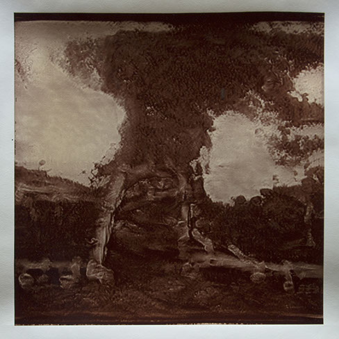 Matthew Ritchie, "Generation VII" unique albumen print, 16x16 inches on 20x24 inch sheet. Published by The ƒ/Ø Project, 2022.