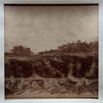 Matthew Ritchie, "Generation VIII" unique albumen print, 16x16 inches on 20x24 inch sheet. Published by The ƒ/Ø Project, 2022.